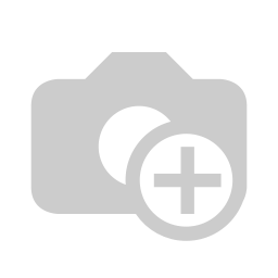 GLB25F02 - SAP Project Manager